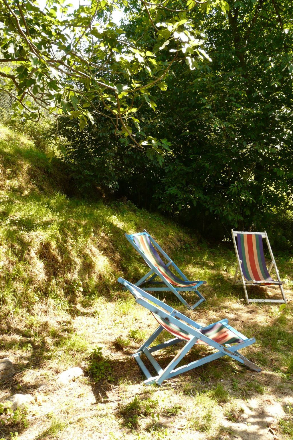 Graceland, maison de campagne à Camaiore avec jardin - Photo 22