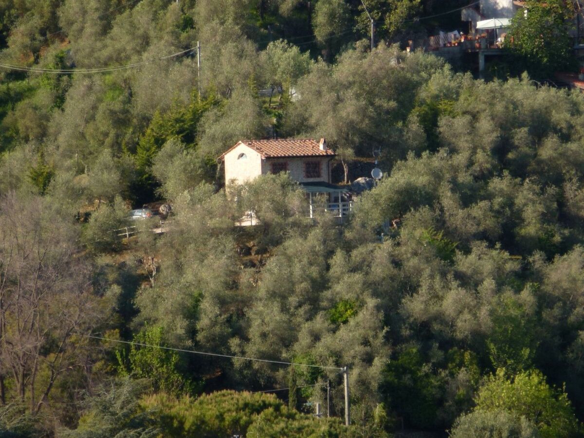 Maison rénovée avec piscine privée à Camaiore - Photo 28