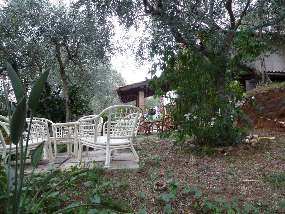 Maison Ai Colli dans les oliviers de Camaiore - Photo 9