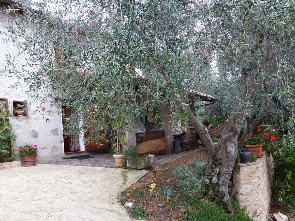 Maison Ai Colli dans les oliviers de Camaiore - Photo 16
