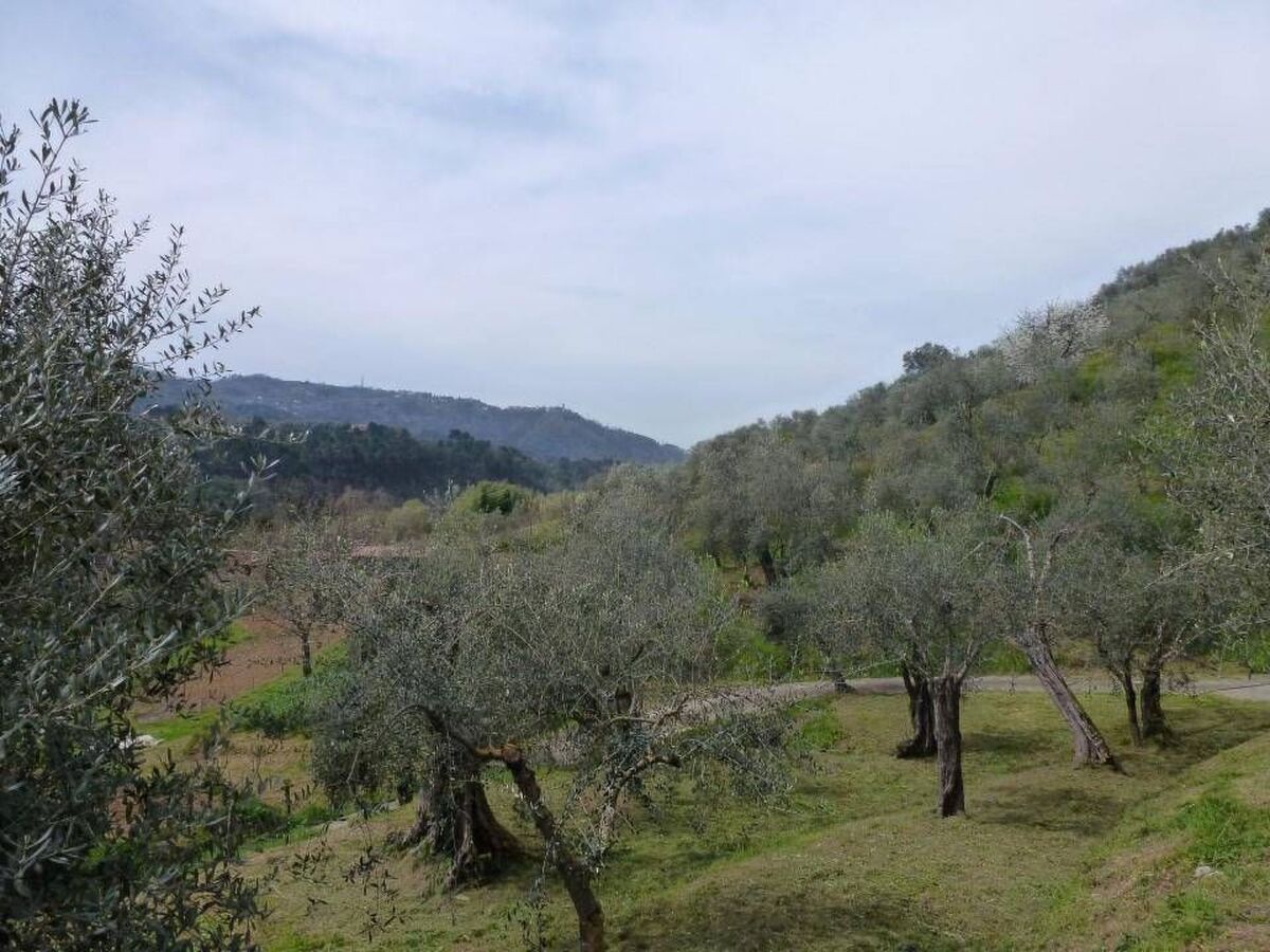 Maison avec piscine privée à Camaiore, vue panoramique - Photo 14