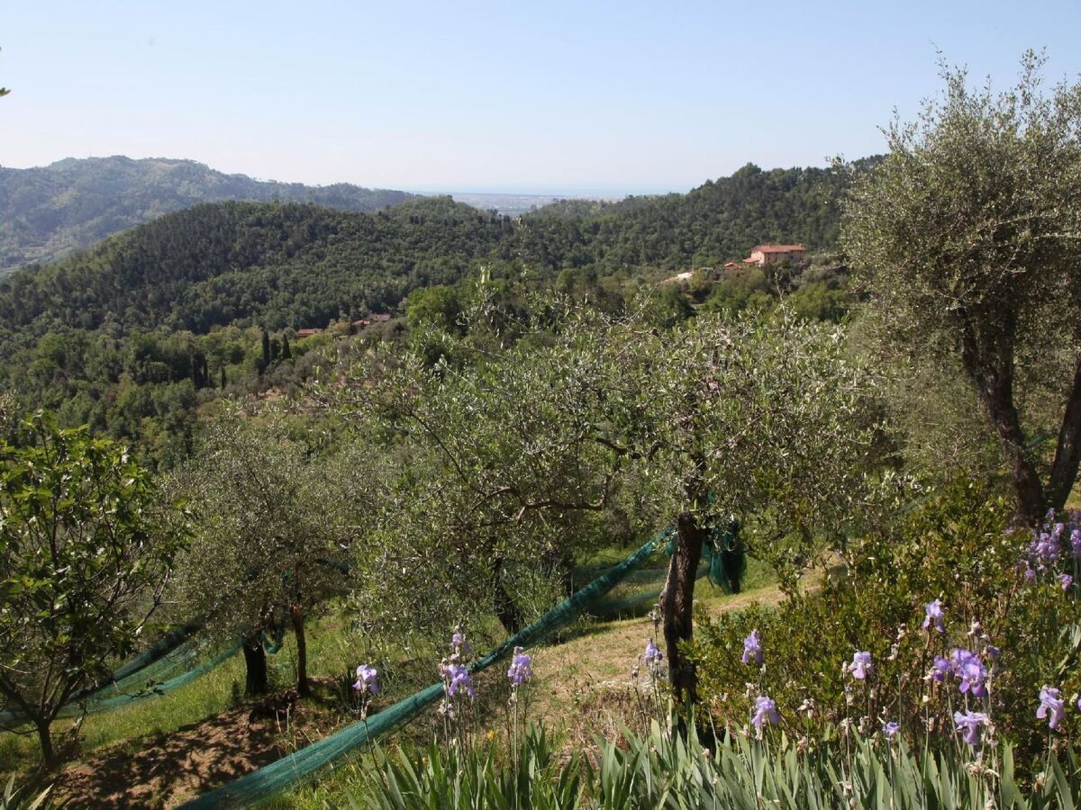 Maison Giaggioli – Rustico 3 étages, jardin & terrasse - Photo 11