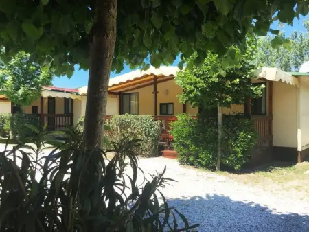 Mobilhome sur camping en forêt, à 900 m de la mer, Viareggio : photo 6