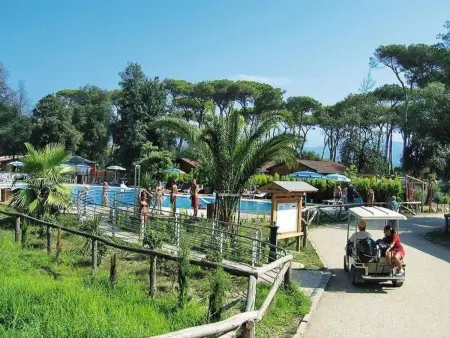 Mobilhome Toscane1 avec piscine à 900 m de la mer, Viareggio : photo 13
