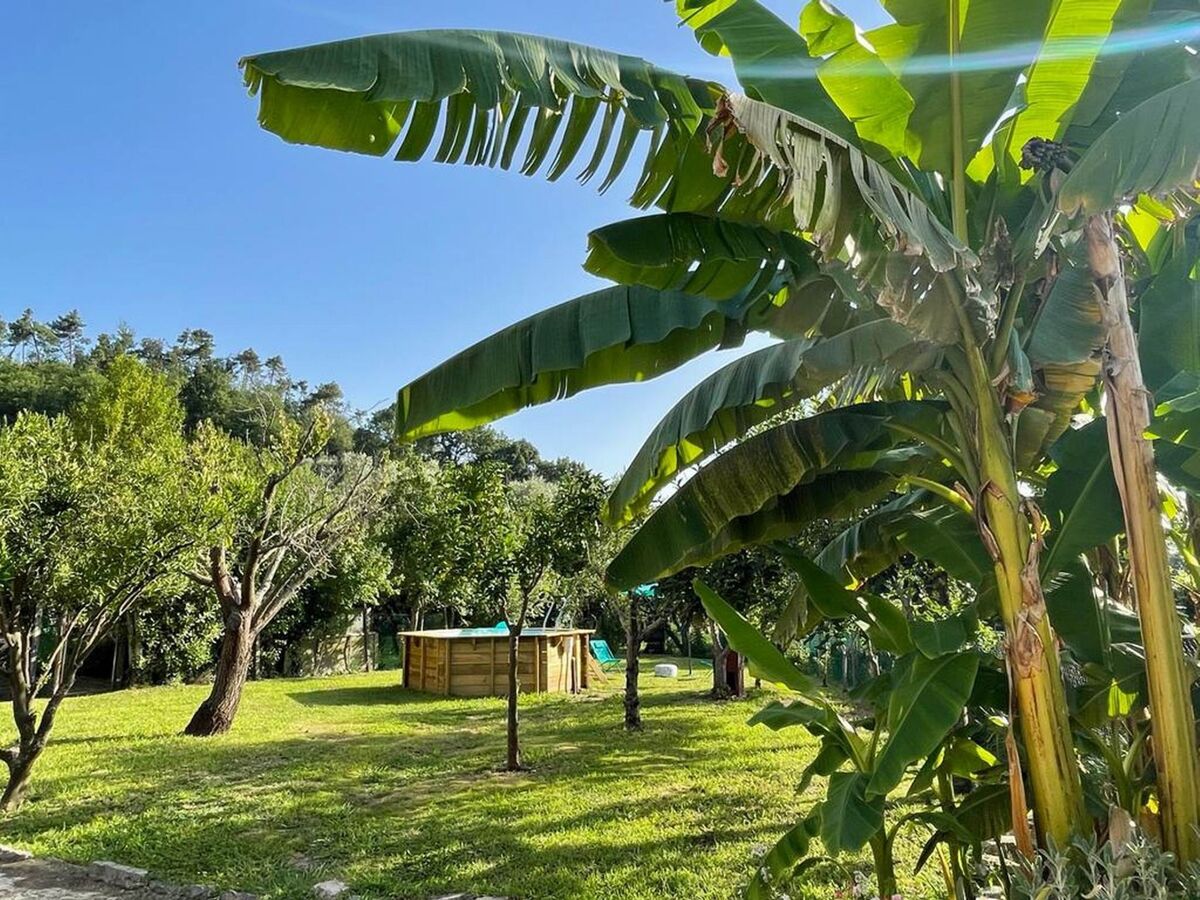 Maison 'Aia Sole' avec piscine privée à Massarosa - Photo 10