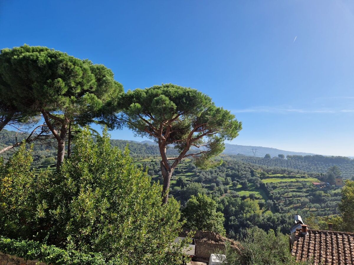 Casa Papalino, maison médiévale 110m² à Larciano - Photo 49