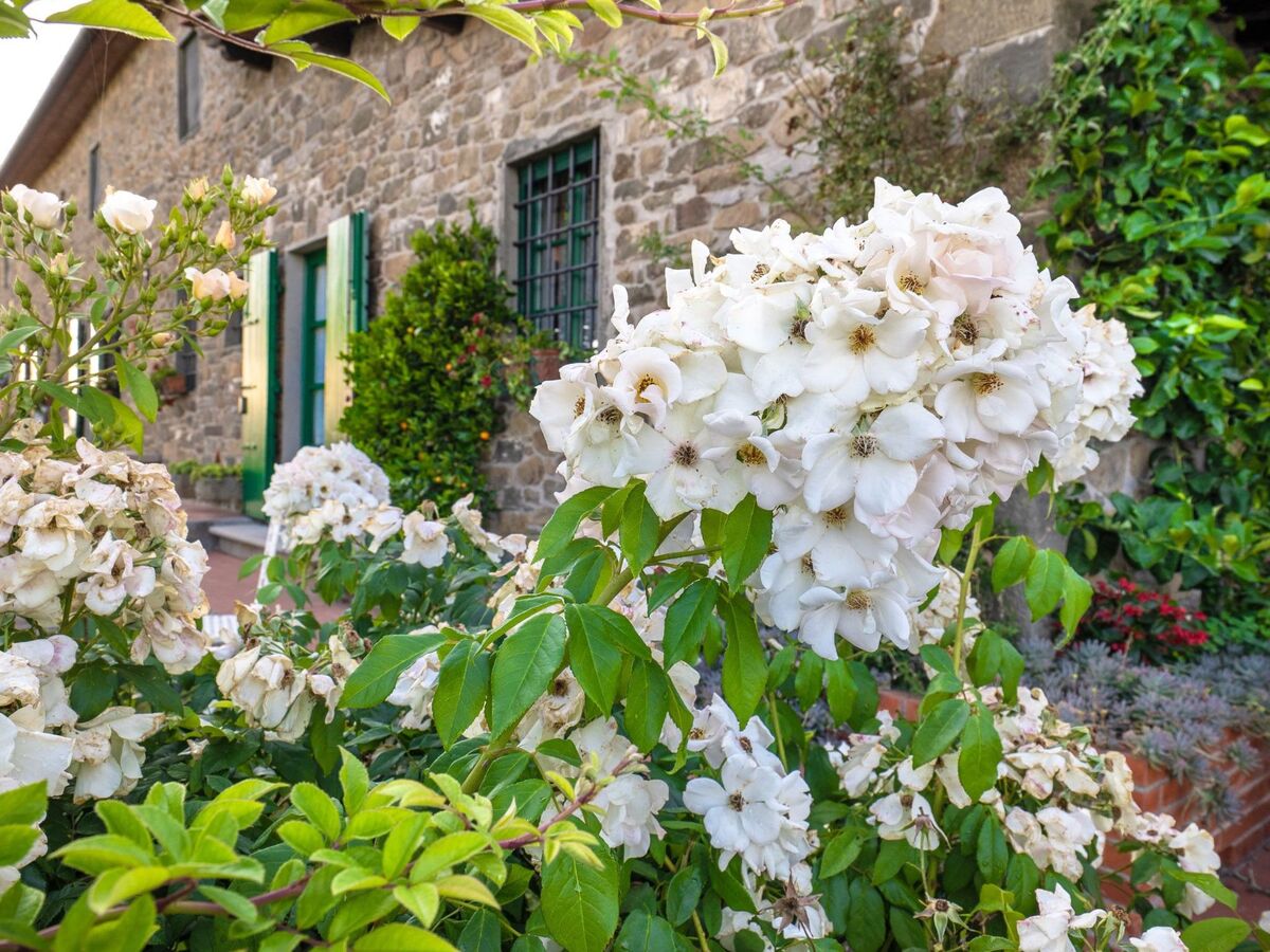 Maison Toscane avec Parking Privé à Montecatini - Photo 8