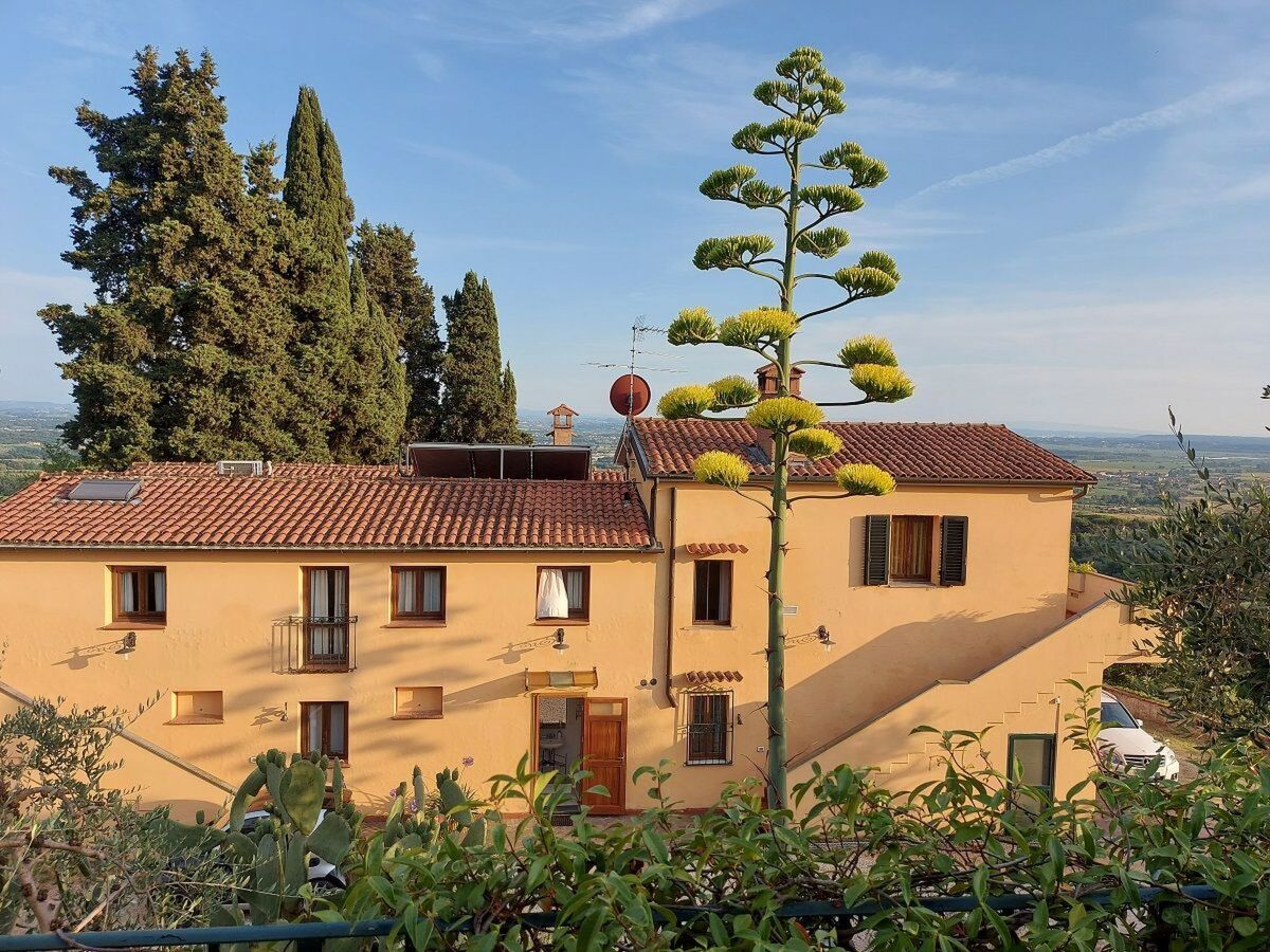 Podere Pilar : farmhouse toscane 14 pers, piscine panoramique - Photo 6