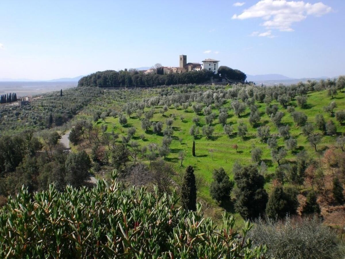 Podere Pilar : farmhouse toscane 14 pers, piscine panoramique - Photo 40