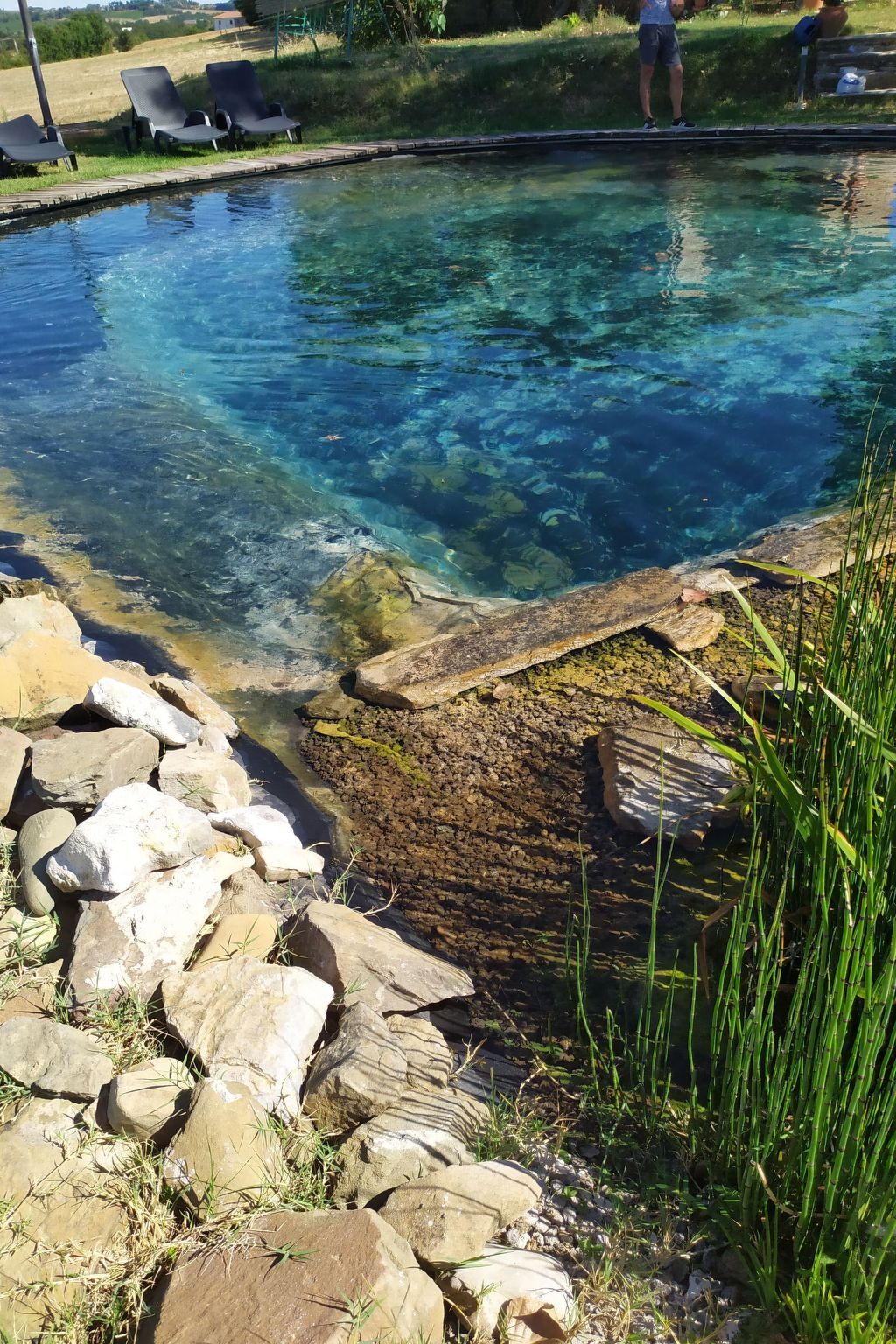 Villa Eleonora - Maison Toscane avec Biolago - Photo 3