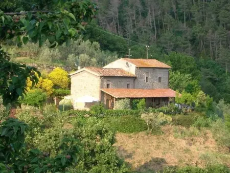 Location maison à Vinci