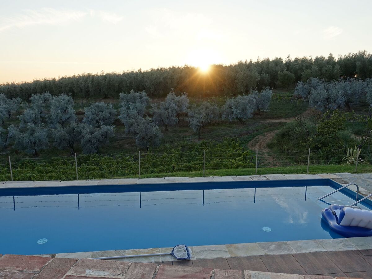 Leonardo – Maisonette 3 chambres à Vinci, piscine - Photo 17