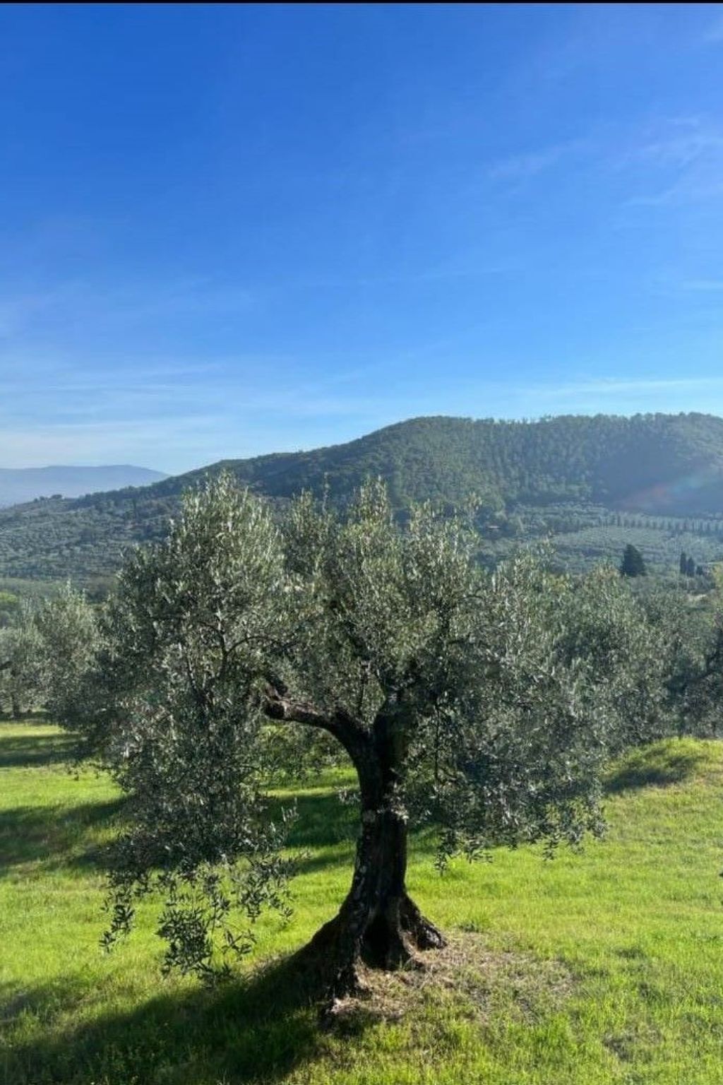 Apartment Giulia, 3 chambres dans les collines de Quarrata - Photo 43