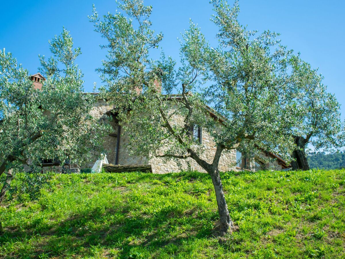 Apartment Giulia, 3 chambres dans les collines de Quarrata - Photo 48