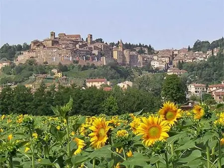 Appartement 7 pers., 3 ch. à Anghiari, jardin privé : photo 19