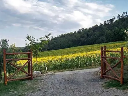 Appartement 7 pers., 3 ch. à Anghiari, jardin privé : photo 25