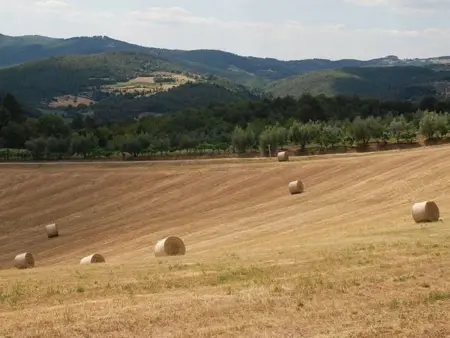 Appartement 7 pers., 3 ch. à Anghiari, jardin privé : photo 27