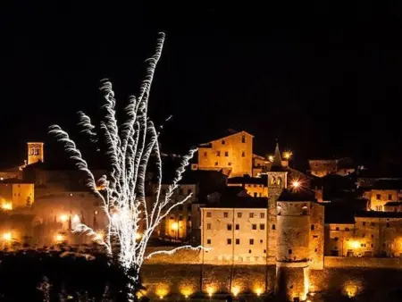 Petit appartement avec vue sur oliveraie à Anghiari : photo 12