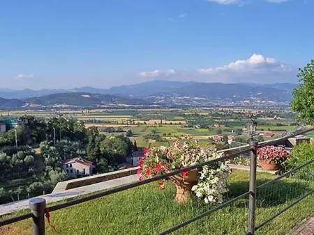 Petit appartement avec vue sur oliveraie à Anghiari : photo 16