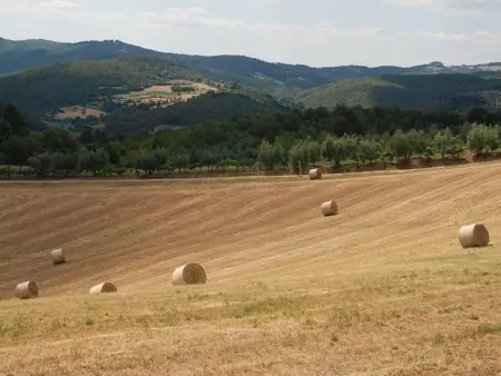 Petit appartement avec vue sur oliveraie à Anghiari : photo 21