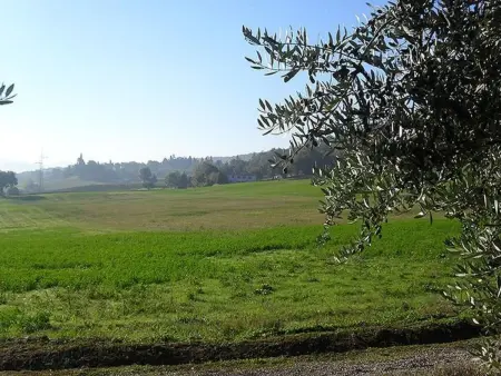 Petit appartement avec vue sur oliveraie à Anghiari : photo 22