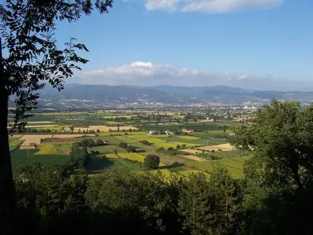 Petit appartement avec vue sur oliveraie à Anghiari : photo 25