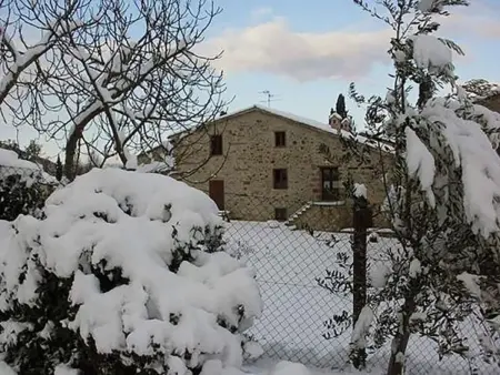 Petit appartement avec vue sur oliveraie à Anghiari : photo 26