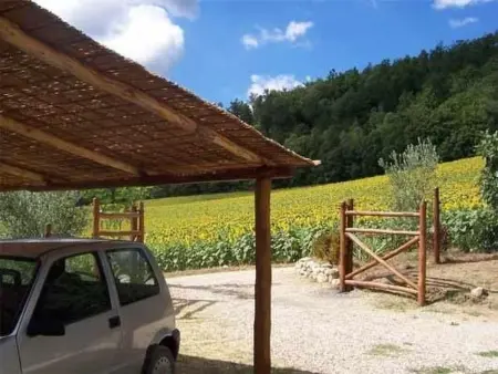 Petit appartement avec vue sur oliveraie à Anghiari : photo 33