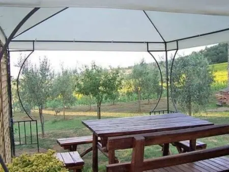 Petit appartement avec vue sur oliveraie à Anghiari : photo 36