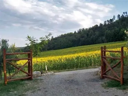 Petit appartement avec vue sur oliveraie à Anghiari : photo 38