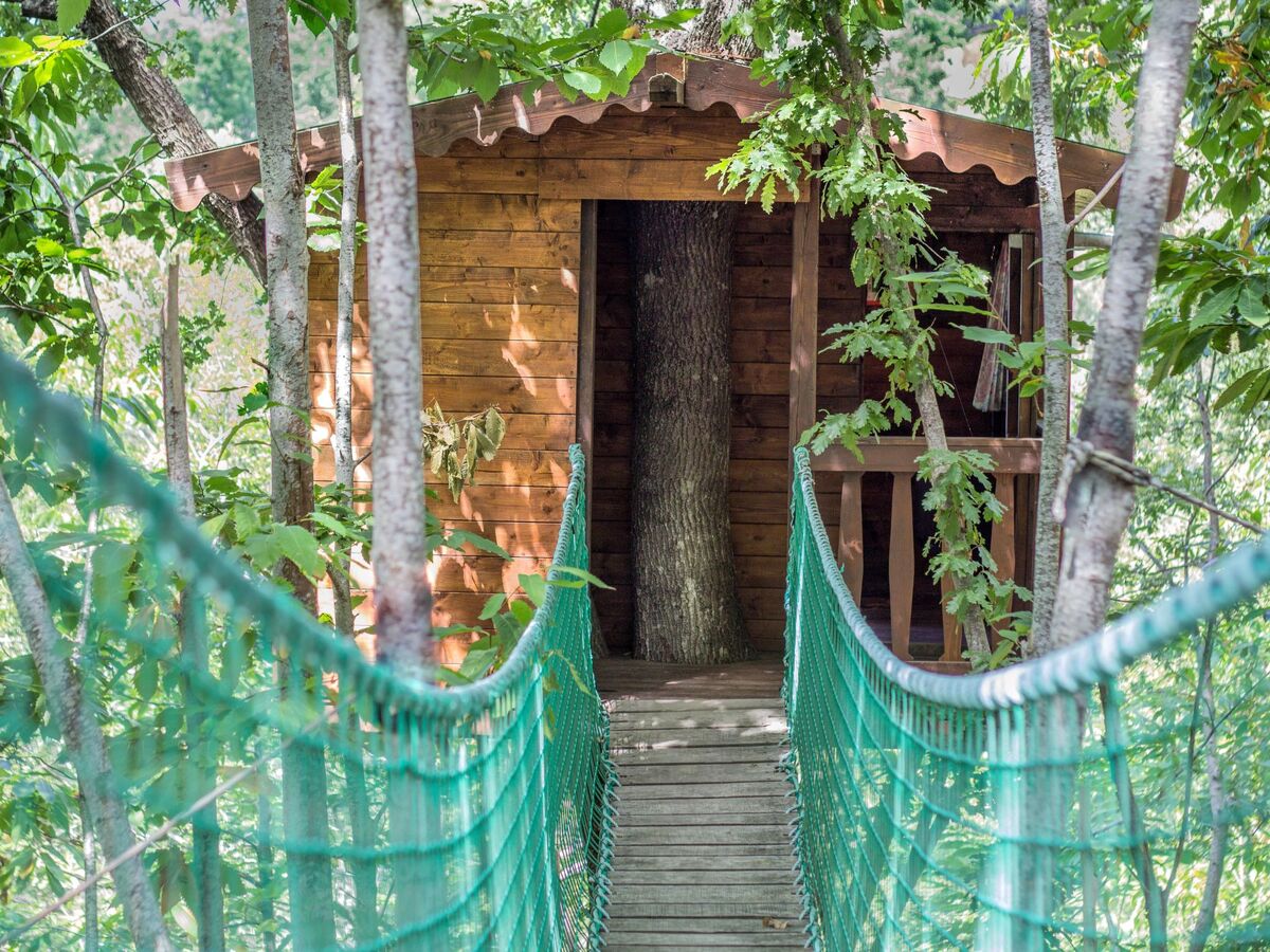 Villa Vallorsaia, manoir 16e siècle pour 24 personnes - Photo 16