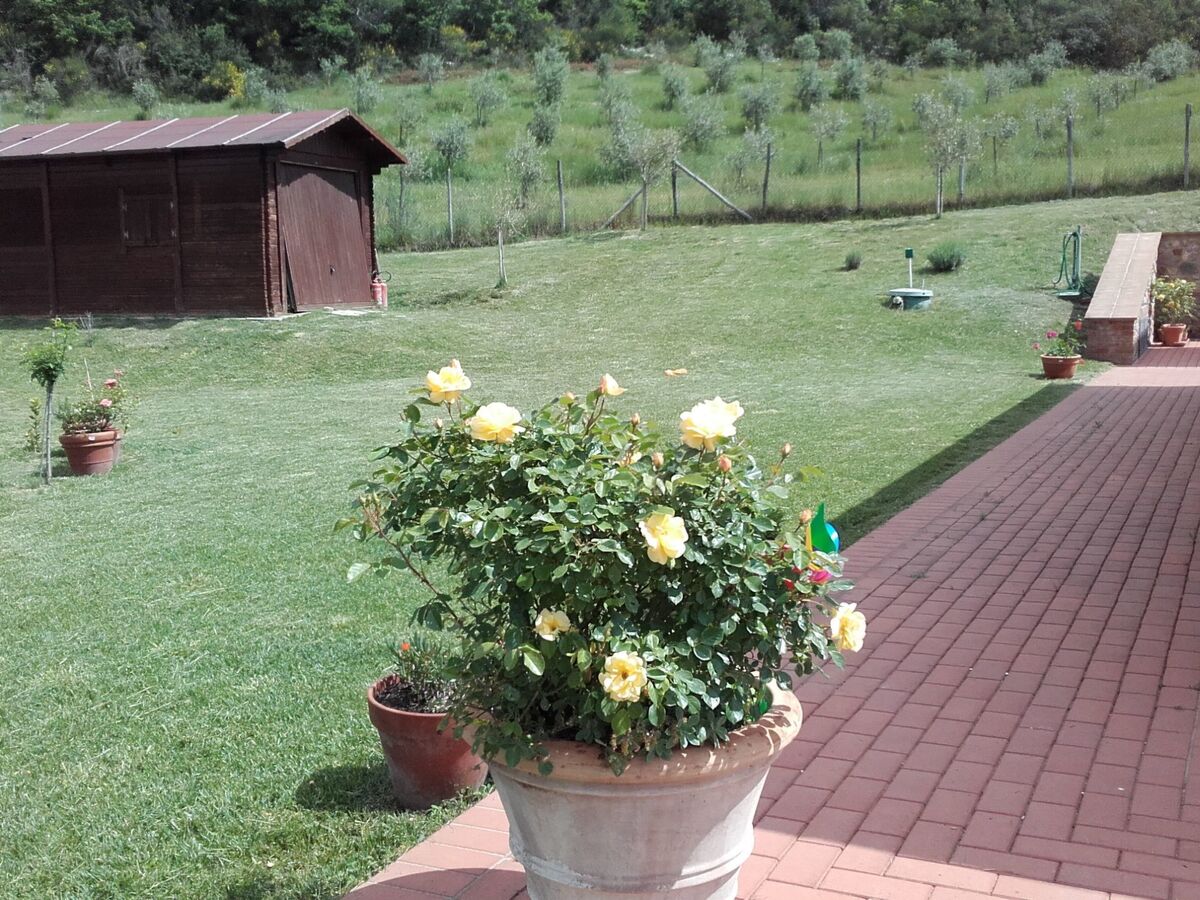 Appartement en maison rurale rénovée, jardin 300 m² à Montecatini - Photo 12