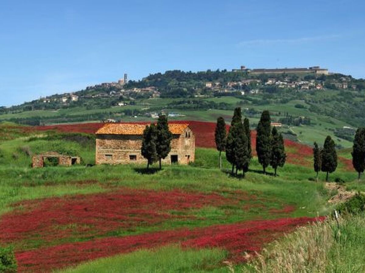 Appartement en maison rurale rénovée, jardin 300 m² à Montecatini - Photo 17