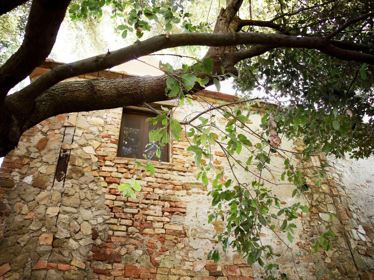 Casa Il Sàrperi, maison de charme 1800 avec piscine - Photo 5