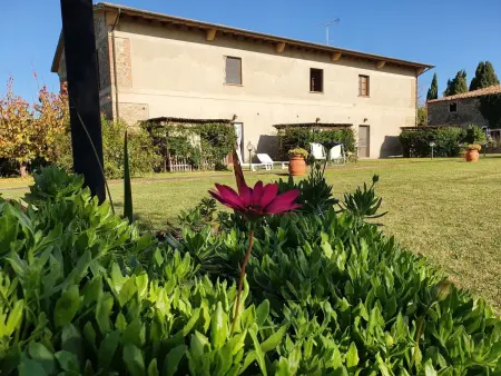 Schönes Ferienhaus in Volterra mit Großem Garten - Photo 1