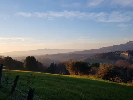 Schönes Ferienhaus in Volterra mit Großem Garten - Photo 25