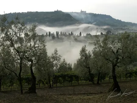 Schönes Ferienhaus in Volterra mit Großem Garten - Photo 29