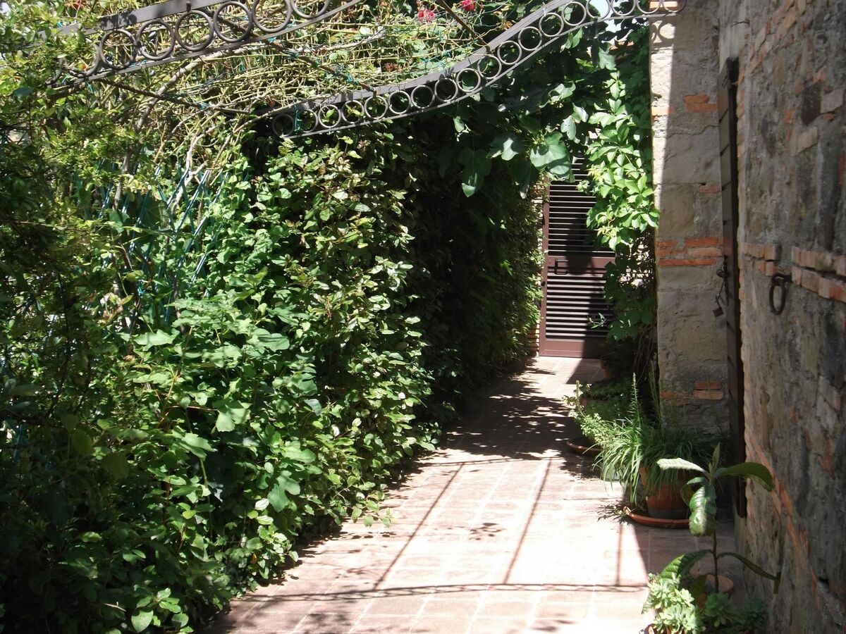 Das Olivenhaus – Maison 8 pers. avec piscine à Radicofani - Photo 10