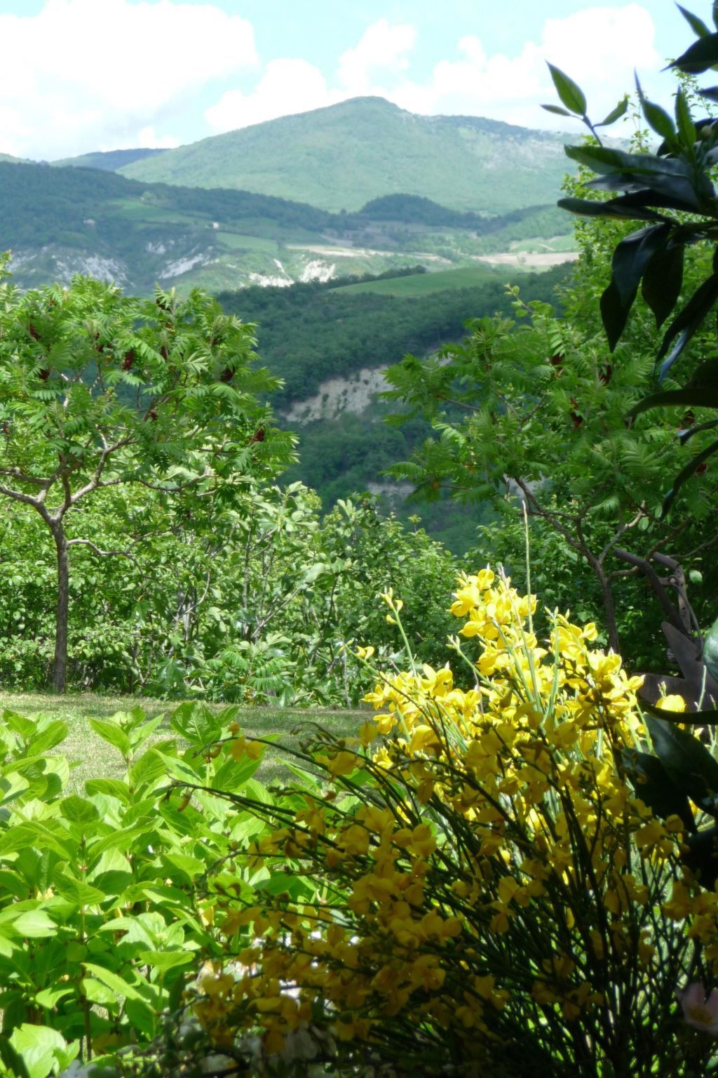 Das Olivenhaus – Maison 8 pers. avec piscine à Radicofani - Photo 18