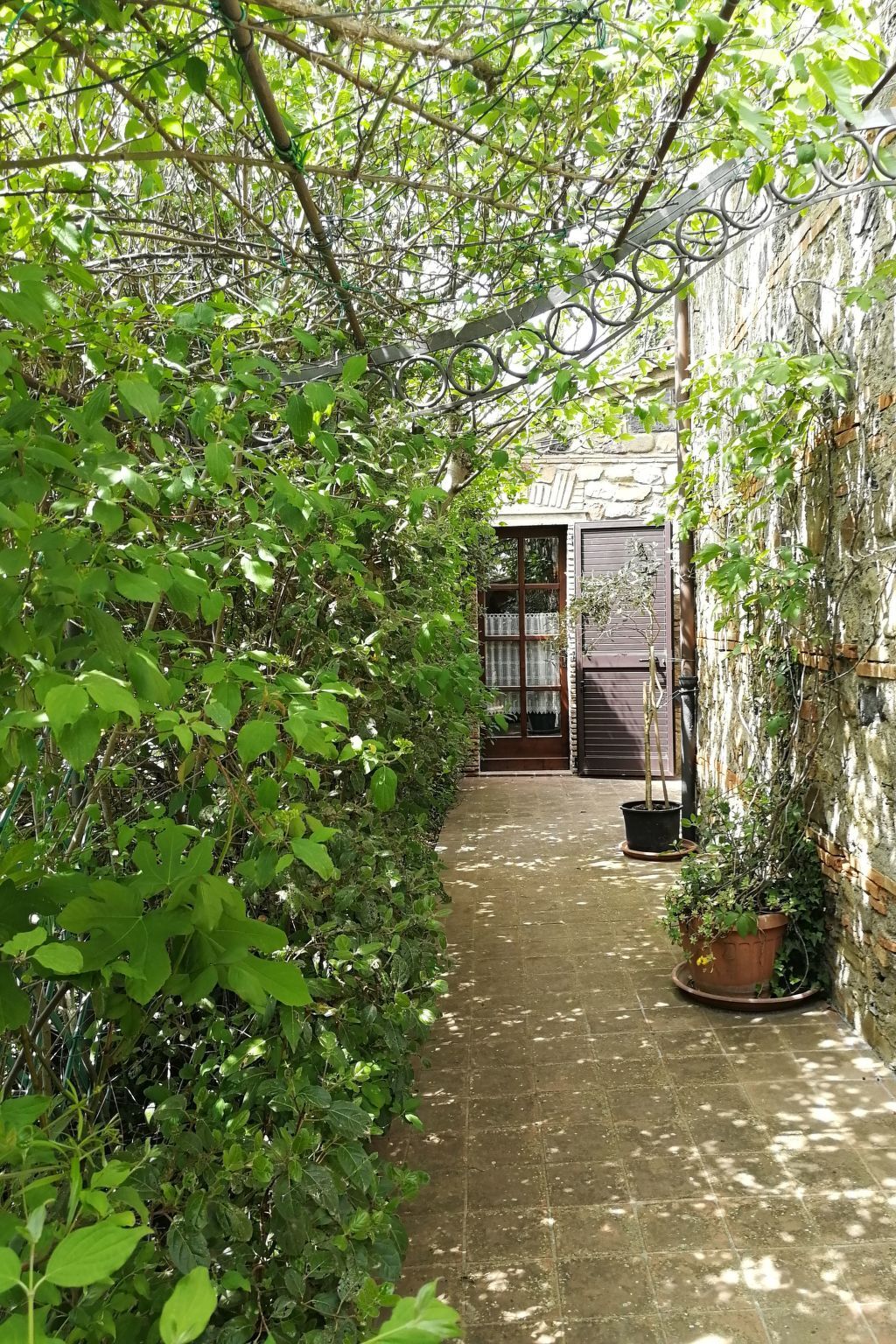 Das Olivenhaus – Maison 8 pers. avec piscine à Radicofani - Photo 38