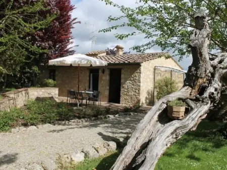 Location appartement à Colle Val d'Elsa, Santinovo olivo mit Pool