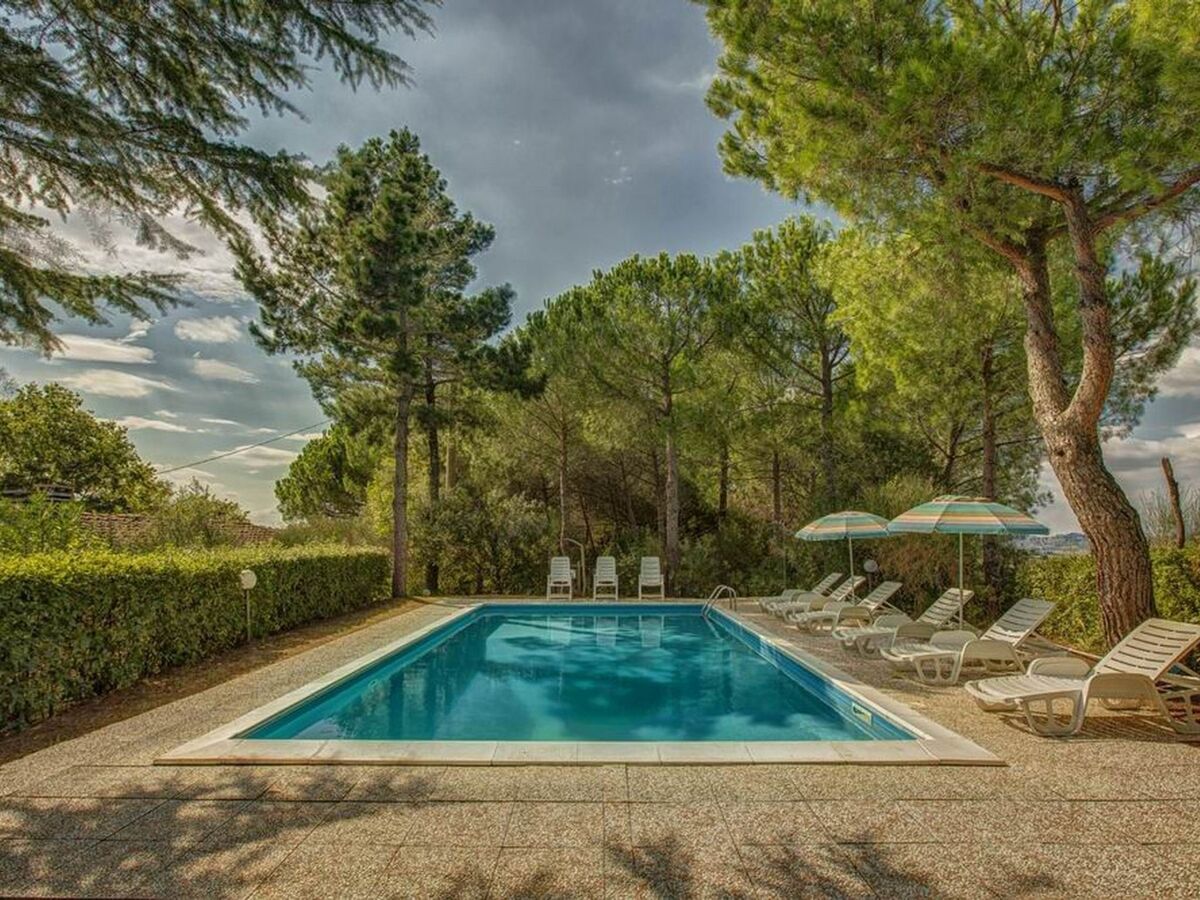 Donatello Leccino – Appartement 2 pers. avec terr. à Montaione - Photo 10