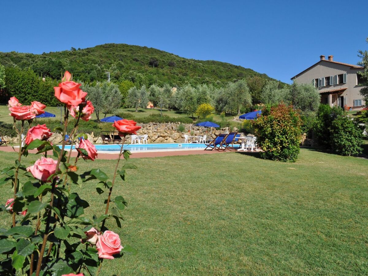 Appartement Madonnino Quercia à Montaione - Photo 19