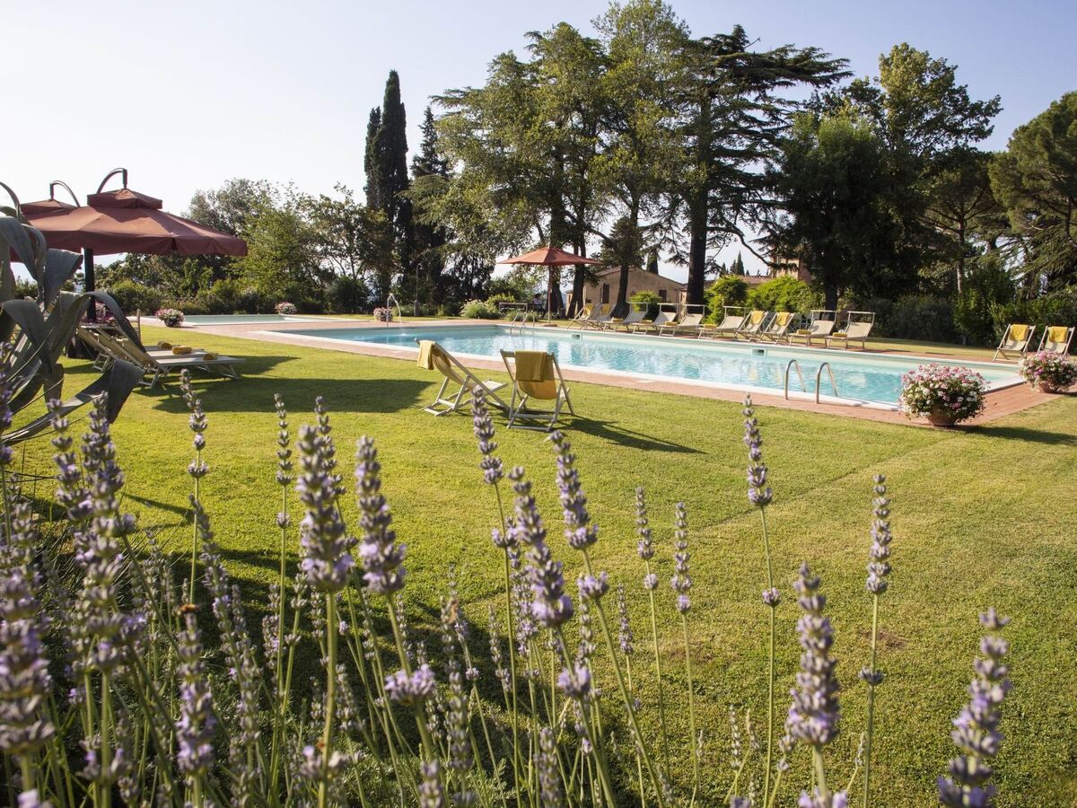 Villa Asciolo • 22 pers, 10 ch, piscine 18x9m - Photo 10