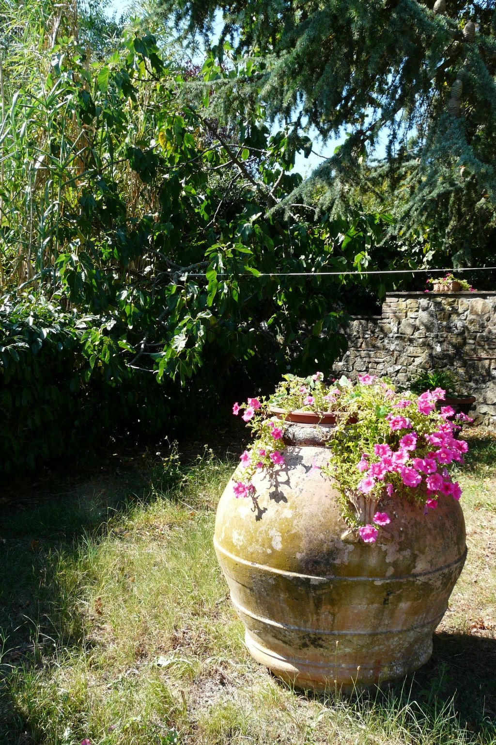 Villa Cimpoli casa – Maison 4 chambres avec jardin à Chianni - Photo 14