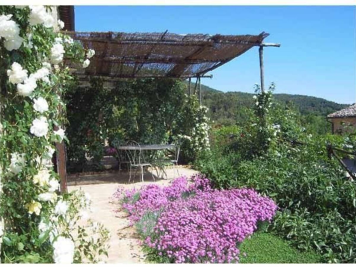 Appartement 4 pers. en Toscane, piscine et terrasse - Photo 17
