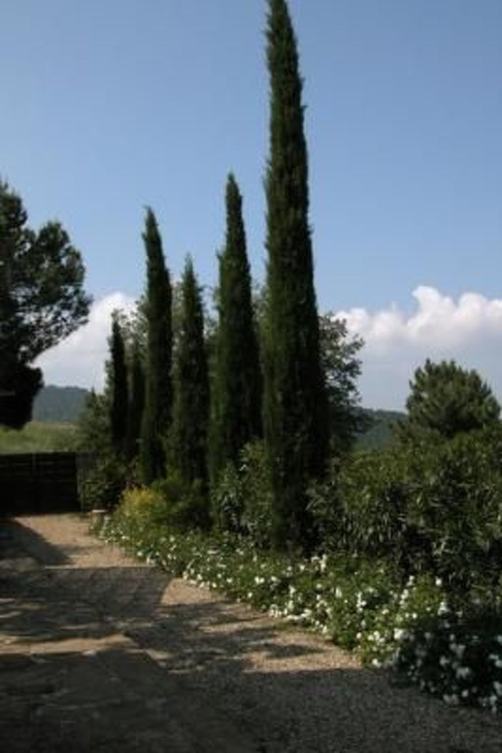 Lo Studio - Appartement Chianti avec plafonds de 4,5m - Photo 12
