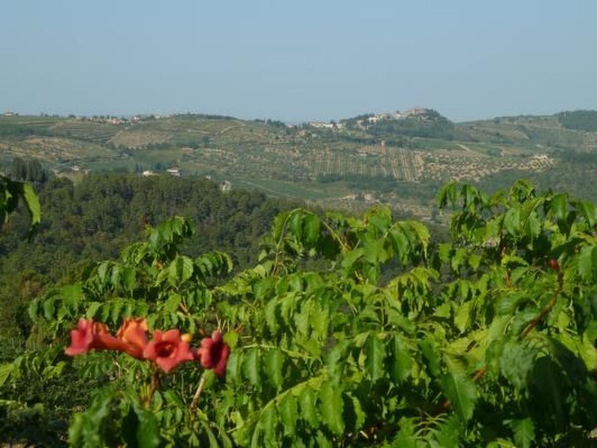 Il Lungo, appartement 4 pers. cœur Chianti - Photo 12