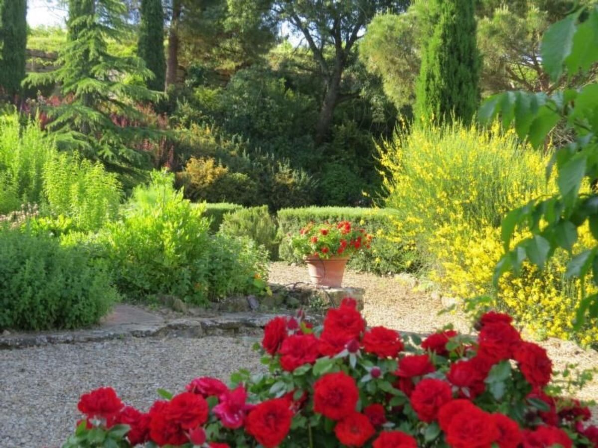 Il Lungo, appartement 4 pers. cœur Chianti - Photo 16