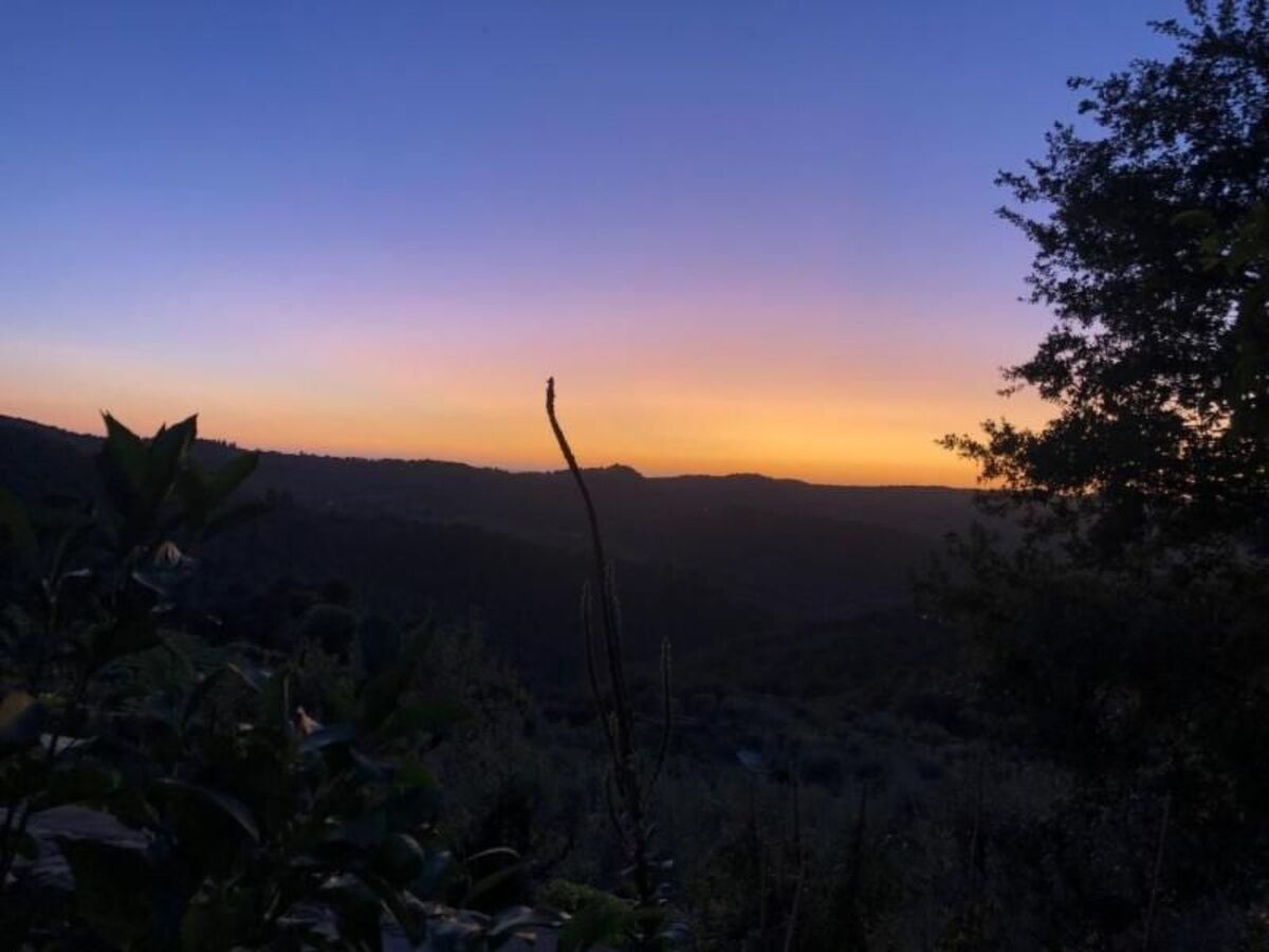 Il Lungo, appartement 4 pers. cœur Chianti - Photo 18